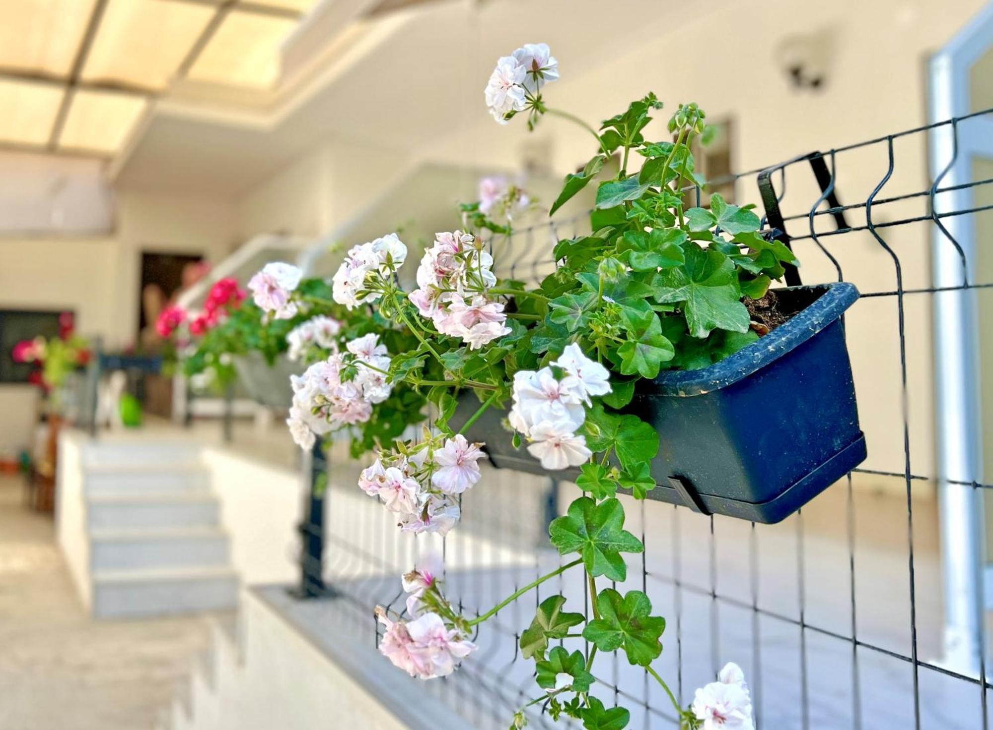 Guest House Julia Stavros  Ngoại thất bức ảnh