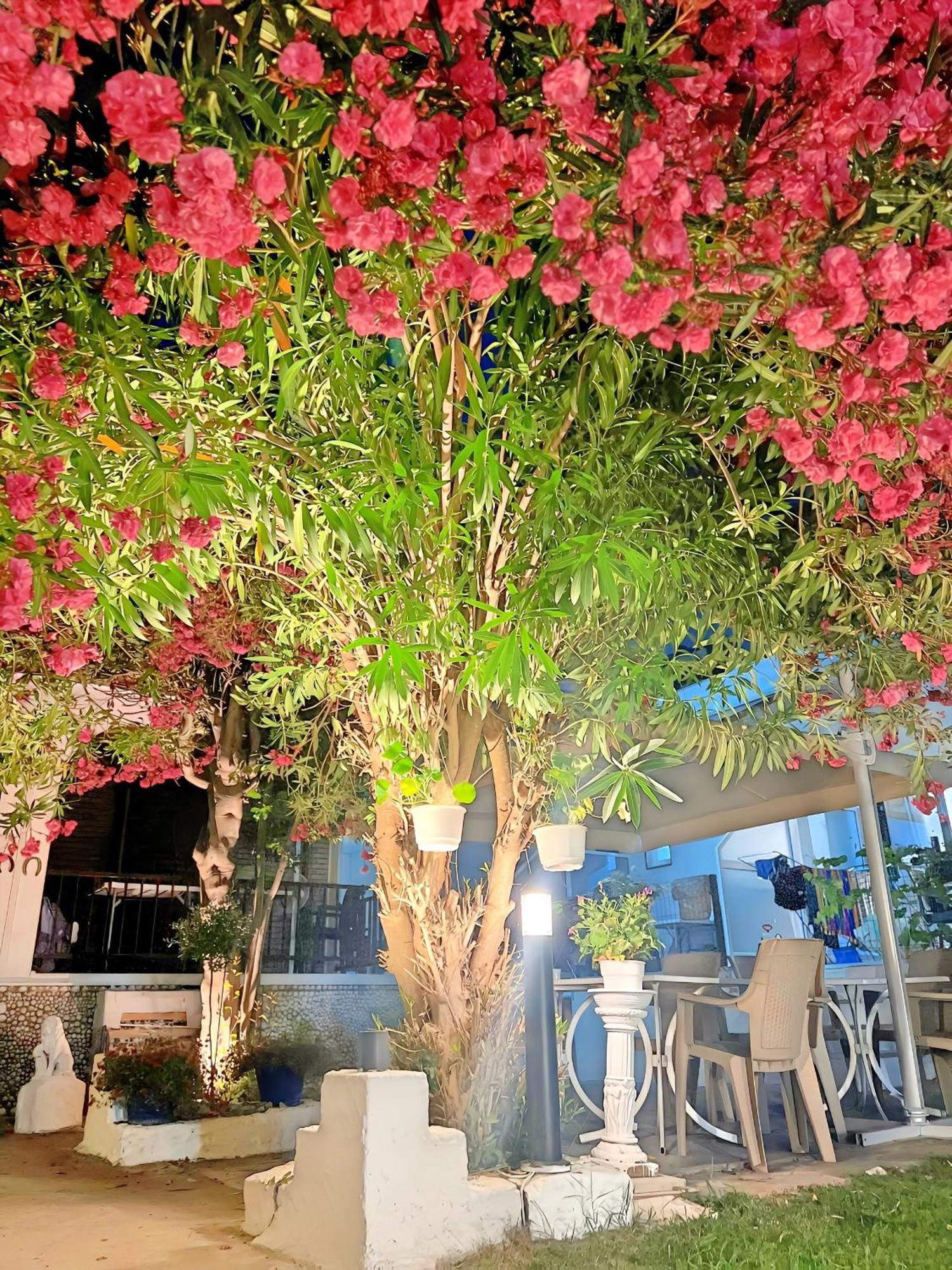 Guest House Julia Stavros  Ngoại thất bức ảnh