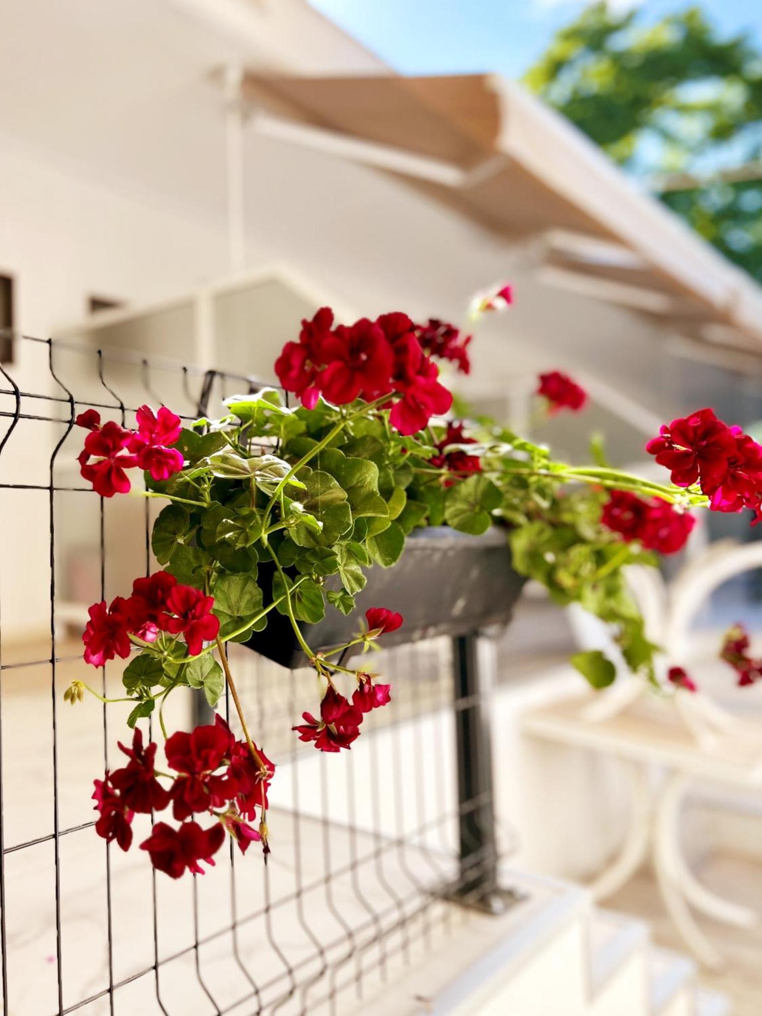 Guest House Julia Stavros  Ngoại thất bức ảnh